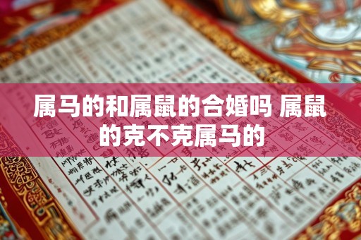 属马的和属鼠的合婚吗 属鼠的克不克属马的