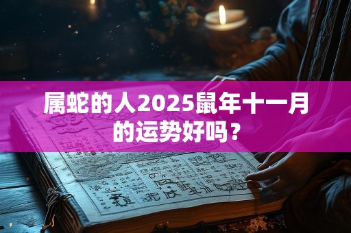 属蛇的人2025鼠年十一月的运势好吗？