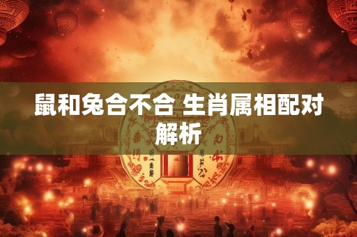 鼠和兔合不合 生肖属相配对解析