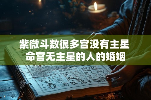 紫微斗数很多宫没有主星 命宫无主星的人的婚姻