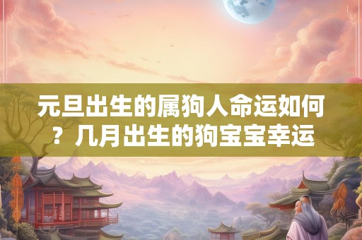 元旦出生的属狗人命运如何？几月出生的狗宝宝幸运