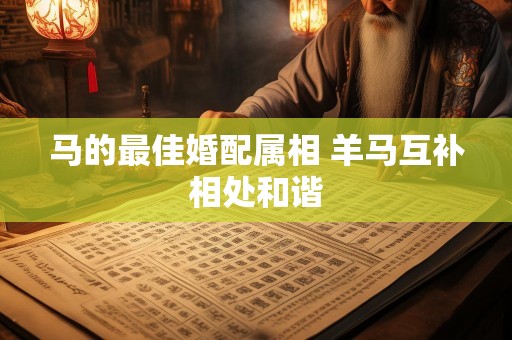 马的最佳婚配属相 羊马互补相处和谐