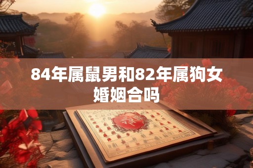 84年属鼠男和82年属狗女婚姻合吗