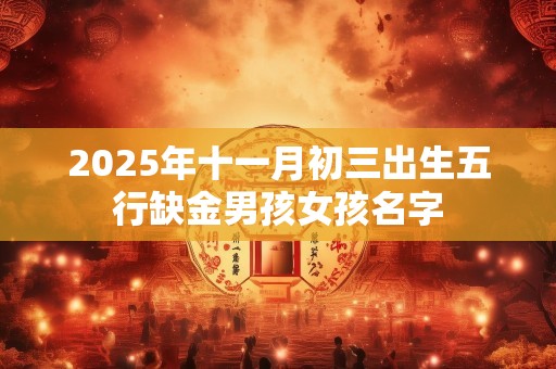 2025年十一月初三出生五行缺金男孩女孩名字