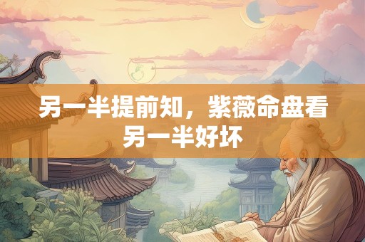 另一半提前知，紫薇命盘看另一半好坏