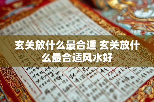 玄关放什么最合适 玄关放什么最合适风水好