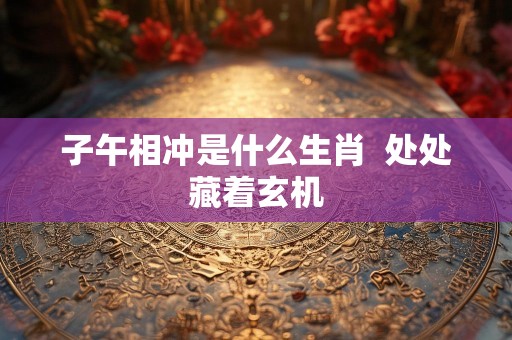 子午相冲是什么生肖  处处藏着玄机