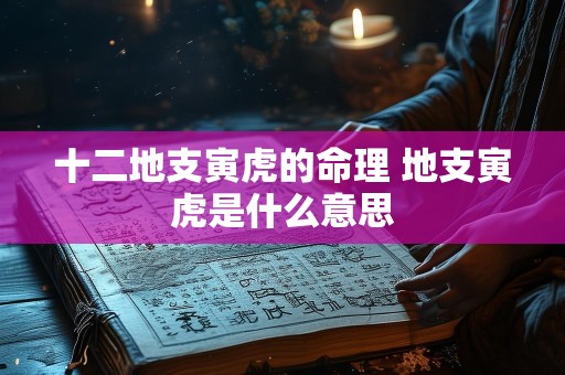 十二地支寅虎的命理 地支寅虎是什么意思