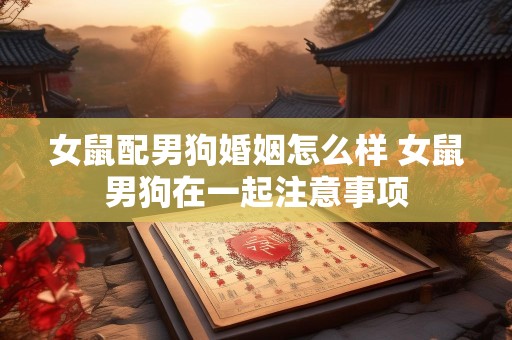女鼠配男狗婚姻怎么样 女鼠男狗在一起注意事项