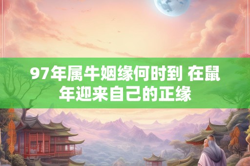 97年属牛姻缘何时到 在鼠年迎来自己的正缘