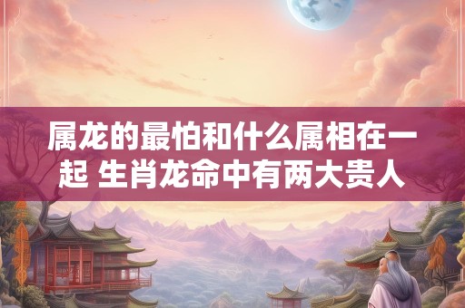 属龙的最怕和什么属相在一起 生肖龙命中有两大贵人