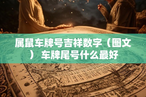 属鼠车牌号吉祥数字（图文） 车牌尾号什么最好