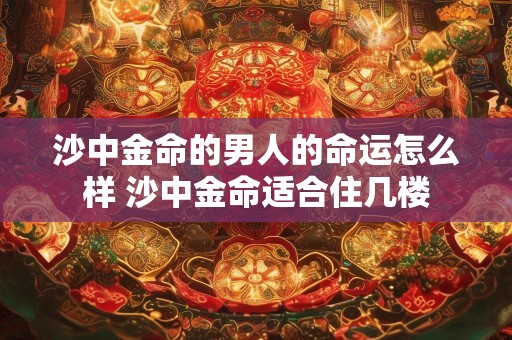 沙中金命的男人的命运怎么样 沙中金命适合住几楼