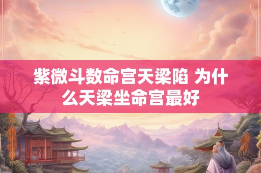 紫微斗数命宫天梁陷 为什么天梁坐命宫最好