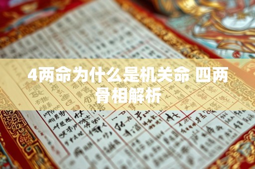 4两命为什么是机关命 四两骨相解析