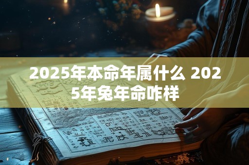 2025年本命年属什么 2025年兔年命咋样