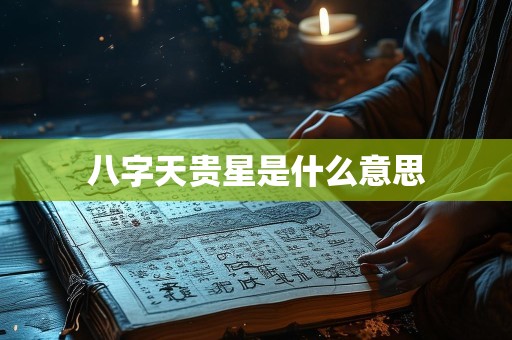 八字天贵星是什么意思