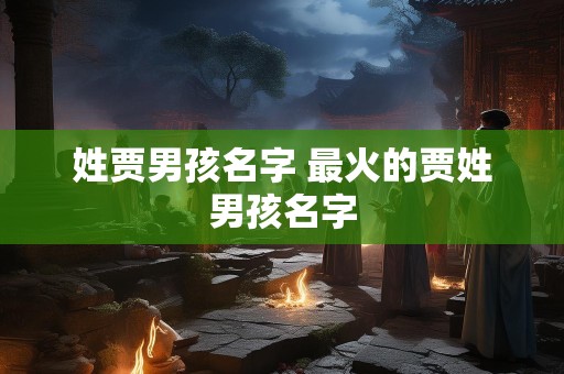 姓贾男孩名字 最火的贾姓男孩名字