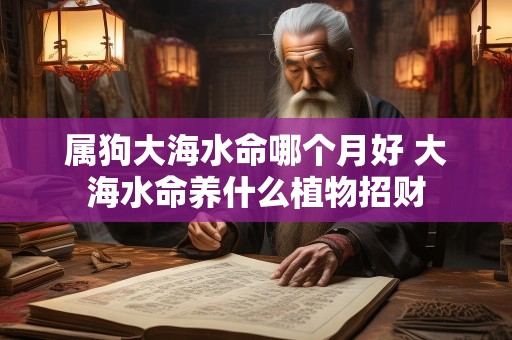 属狗大海水命哪个月好 大海水命养什么植物招财