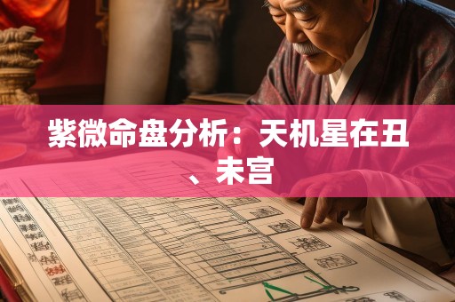 紫微命盘分析：天机星在丑、未宫