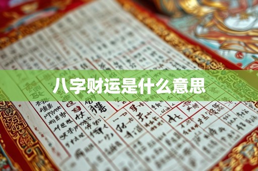 八字财运是什么意思