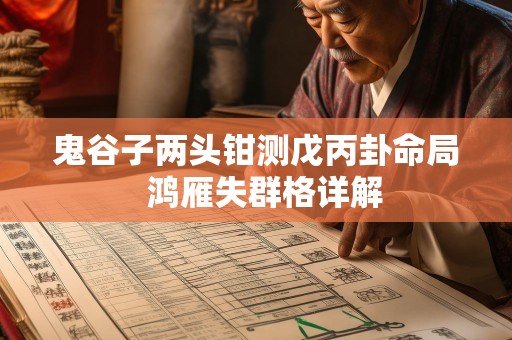 鬼谷子两头钳测戊丙卦命局  鸿雁失群格详解