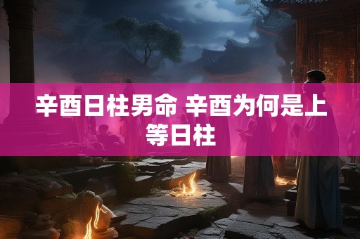 辛酉日柱男命 辛酉为何是上等日柱