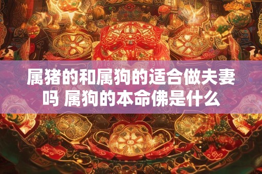 属猪的和属狗的适合做夫妻吗 属狗的本命佛是什么