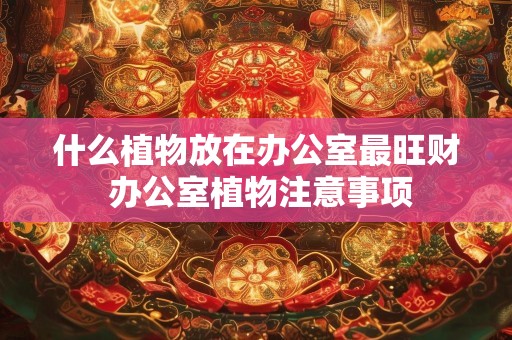 什么植物放在办公室最旺财 办公室植物注意事项