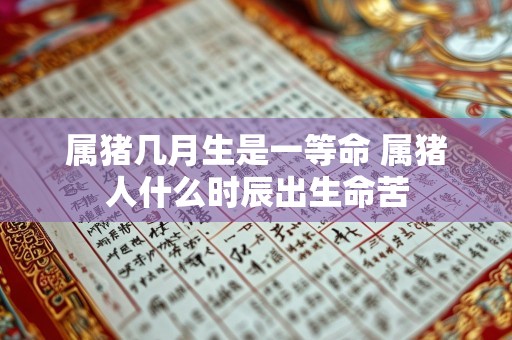 属猪几月生是一等命 属猪人什么时辰出生命苦
