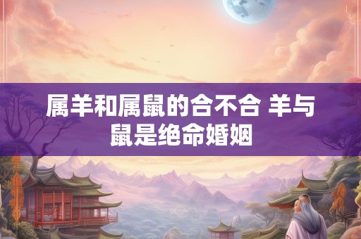 属羊和属鼠的合不合 羊与鼠是绝命婚姻