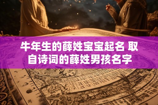牛年生的薛姓宝宝起名 取自诗词的薛姓男孩名字