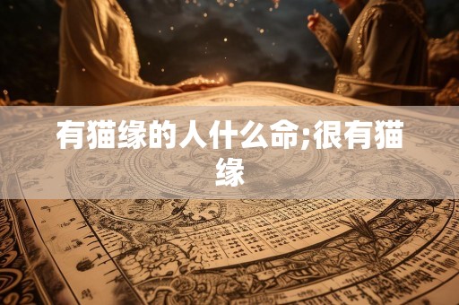 有猫缘的人什么命;很有猫缘