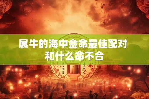 属牛的海中金命最佳配对 和什么命不合