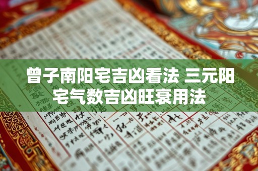 曾子南阳宅吉凶看法 三元阳宅气数吉凶旺衰用法