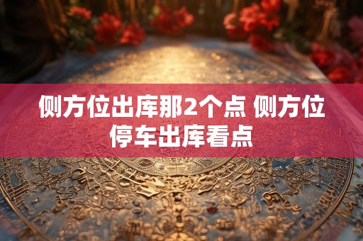 侧方位出库那2个点 侧方位停车出库看点