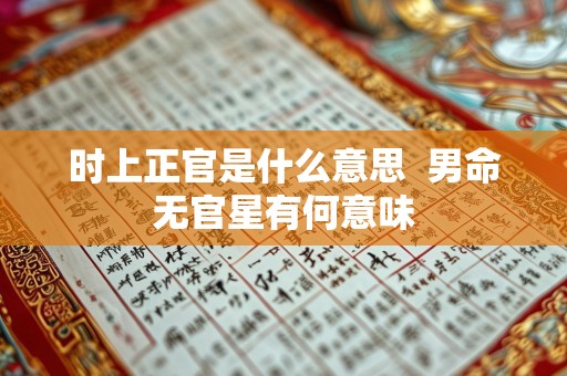时上正官是什么意思  男命无官星有何意味