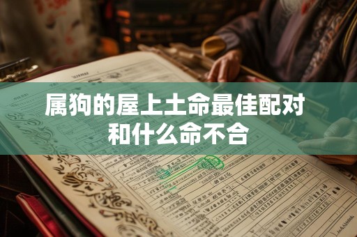 属狗的屋上土命最佳配对 和什么命不合