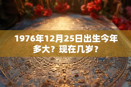 1976年12月25日出生今年多大？现在几岁？
