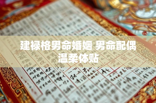 建禄格男命婚姻 男命配偶温柔体贴
