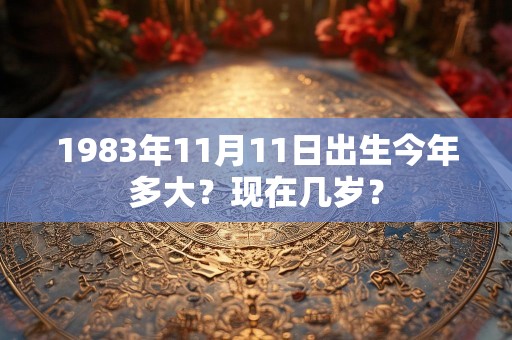 1983年11月11日出生今年多大？现在几岁？