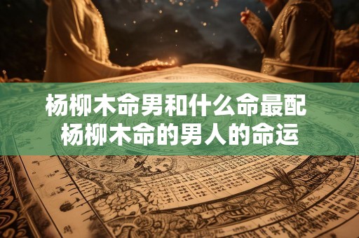 杨柳木命男和什么命最配 杨柳木命的男人的命运