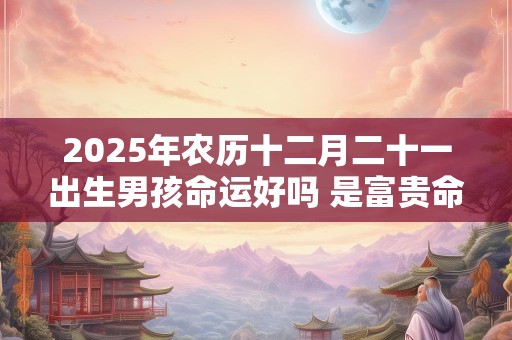 2025年农历十二月二十一出生男孩命运好吗 是富贵命吗