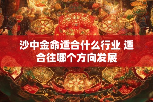 沙中金命适合什么行业 适合往哪个方向发展