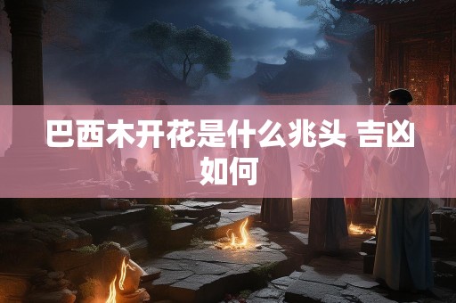 巴西木开花是什么兆头 吉凶如何