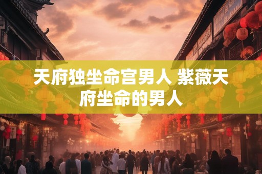 天府独坐命宫男人 紫薇天府坐命的男人