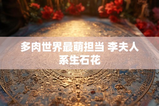 多肉世界最萌担当 李夫人系生石花