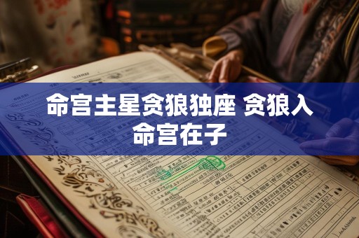 命宫主星贪狼独座 贪狼入命宫在子