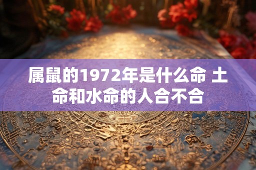 属鼠的1972年是什么命 土命和水命的人合不合