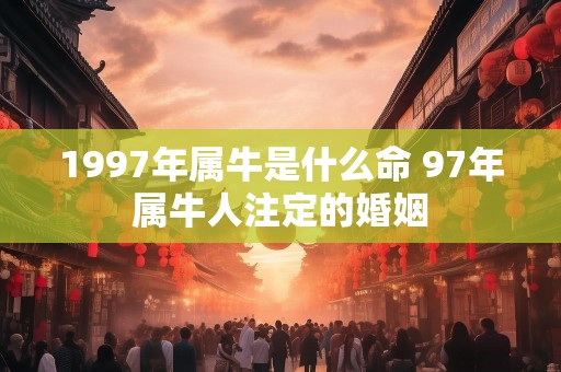 1997年属牛是什么命 97年属牛人注定的婚姻